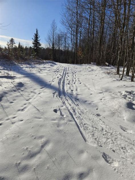 Photo Album Trail Report Holy Cross Ski Trail