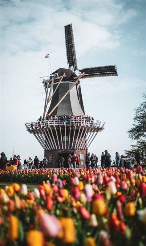 Tulip Fields in Amsterdam ⋆ Best Fashion Blog For Men - TheUnstitchd.com