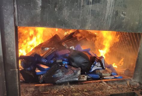 Polícia Civil incinera quase 135 kg de drogas em Nova Andradina