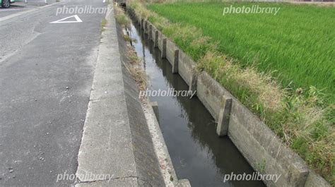 愛知田舎の農業用水路 写真素材 4872134 フォトライブラリー Photolibrary