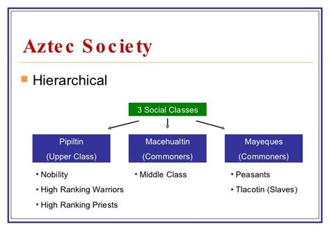 Aztec Social Structure