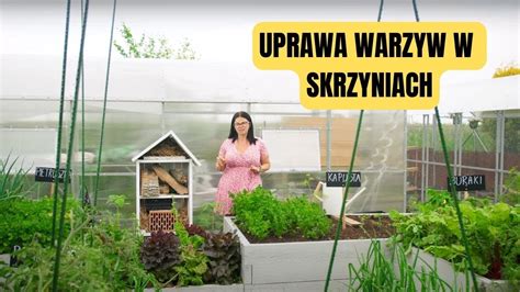 Uprawa Warzyw W Grz Dkach Podwy Szonych Youtube