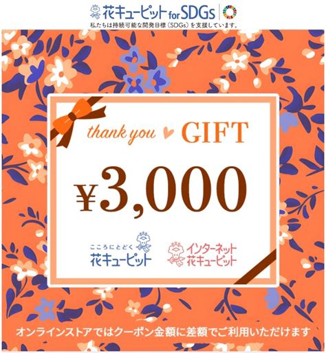 Yahooオークション 花とみどりのeギフト 花キューピット 3000円