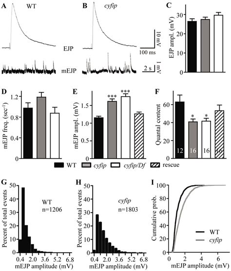 Cyfip Mutants Show Normal Evoked Junctional Potential Ejp Amplitudes