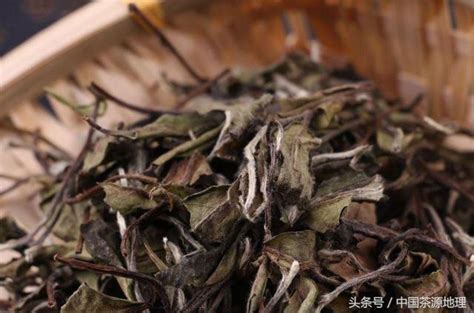 茶｜5分鐘，帶你看透6大茶類！ 每日頭條