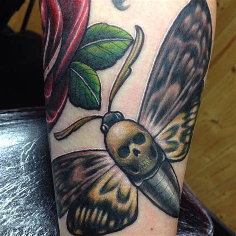 Deaths Head Hawk Moth Tattoo By Craig Holmes By Craigholmestattoo On