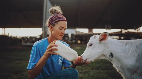 Home Dairy Max Your Local Dairy Council