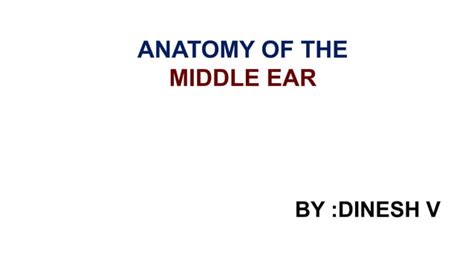 ANATOMY OF MIDDLE EAR BY DINESH V Pptx