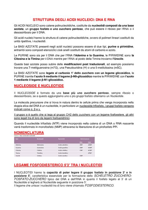 Acidi Nucleici DNA Appunti STRUTTURA DEGLI ACIDI NUCLEICI DNA E
