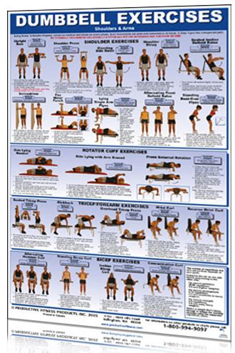 Exercises: Dumbbell Exercises