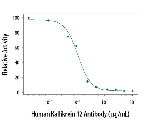 Human Kallikrein 12 Antibody MAB40341: R&D Systems