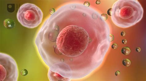 Cell Definition Types Functions Diagram Division Theory And Facts Britannica