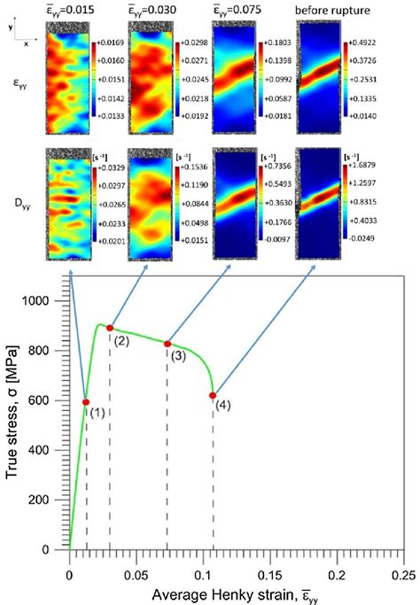 Distributions of the Hencky strain ε yy and rate of deformation tensor