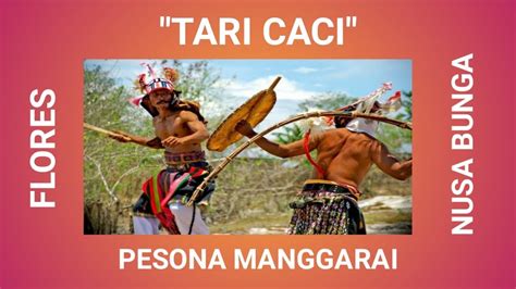 Tari Caci Tarian Adat Dan Budaya Orang Manggarai Flores Nusa