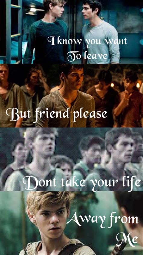 Pin By Leia Swan Jones On Maze Runner Maze Runner Funny Maze Runner