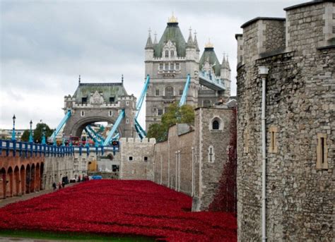 The Tower of London Poppies and a tribute