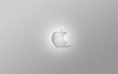 Apple White Background #6976020