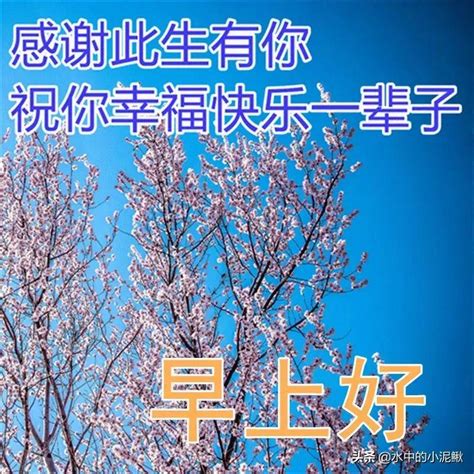 發朋友圈新的一天早安的句子（朋友圈早安語錄微信早安語錄） 太闲吧