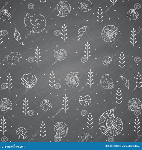 Seashells In Ocean On Chalkboard Stock Vector Illustration Of