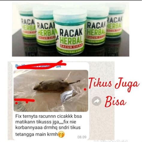 Jual Racun Cicak Kecoa Tikus Tokek Racak Herbal Termurah Ampuh