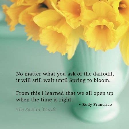 Collection 27 Daffodil Quotes And Sayings With Images