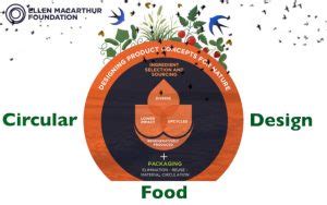 Circular Economy In Agri Food Systems An Economic Urgency Gift