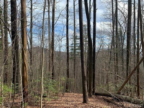 Downtown Cashiers Lot In Private Neighborhood Caliber Fine Properties