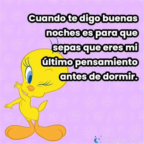 Total 36 Imagen Piolin Frases De Buenas Noches Abzlocal Mx