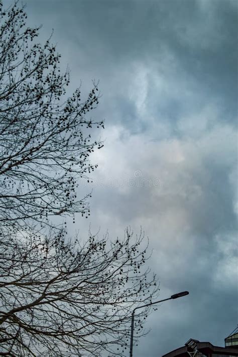 London Dark Sky With Clouds With Bare Tree Branches Stock Photo Image