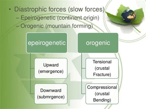 earth movements Endogenic forces