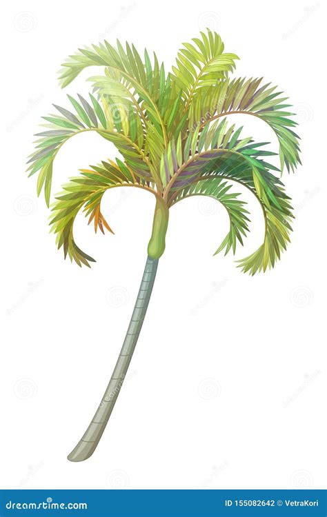 Vector Handdrawn Plant Clipart Palm Tree Stock Vector Illustration Of