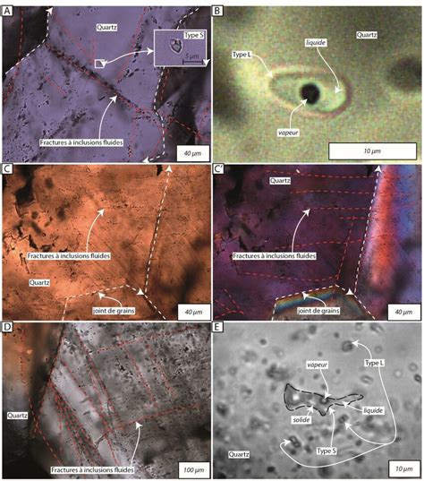 Planche Photographique Des Textures Des Inclusions Fluides Et De La