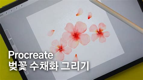 Procreate Watercolor Pocreate 벚꽃 그리기 프로크리에이트 수채화 아이패드 그림그리기 Youtube