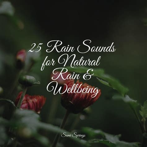 25 Rain Sounds For Natural Rain And Wellbeing Album By Academia De