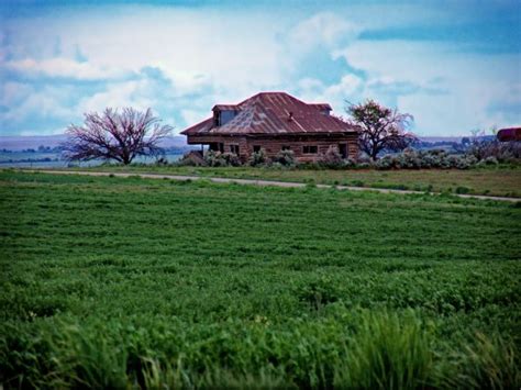 Free Images Landscape Tree Nature Sky Sun Field Lawn Meadow