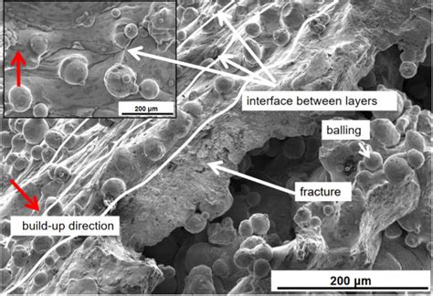 Internal And Interface Morphology Of Fracture Surface Download