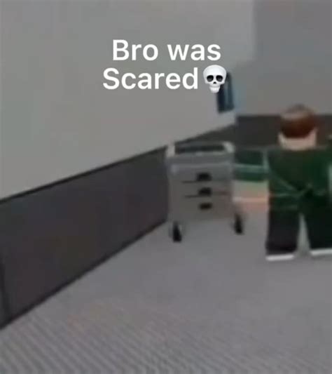 Low Quality Roblox Memes That Almost Cured My Depression Rhyphonixyt