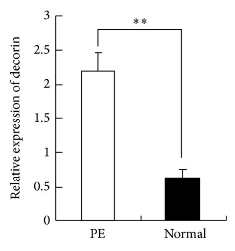 Expression Of Decorin In Preeclampsia Placentas Compared With Normal