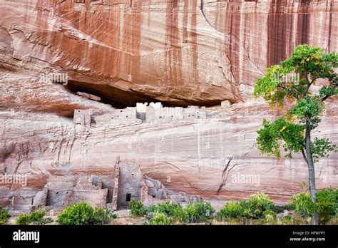 Us National Monuments Canyon Autumn Cliff Dwellings Cottonwood Trees Hi