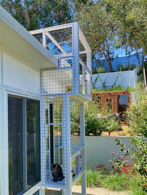 Catios Custom Catios Cat Enclosure Outdoor Cat Enclosure Outdoor