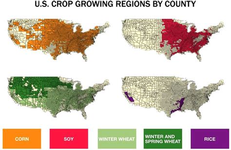 Map Of The Growing Regions For Corn Soy Wheat And Rice Used In This Download Scientific