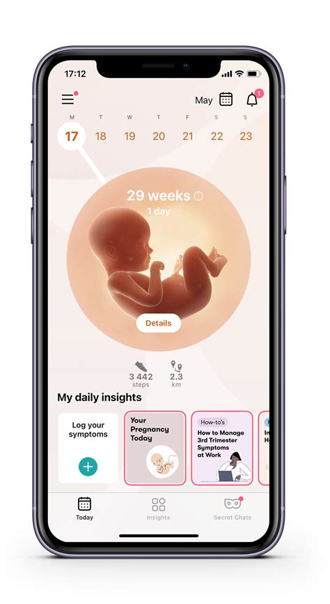 Getting Started For Pregnant Users Flo