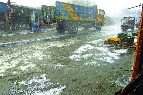 Hailstorm Damages Crops In Nilphamari The Asian Age Online Bangladesh