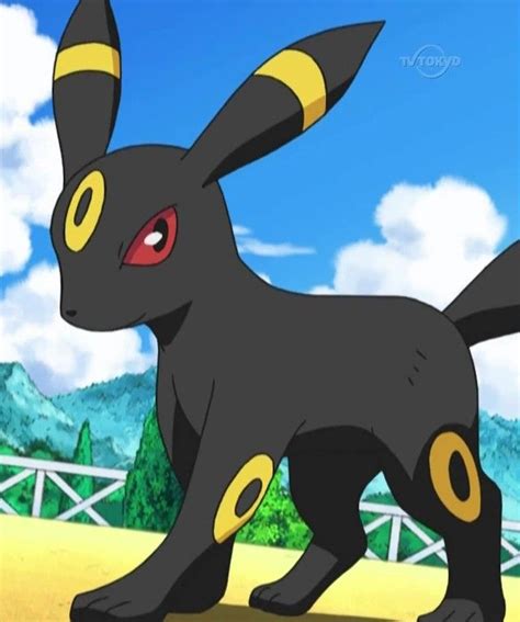 Umbreon Pokemon Umbreon Pokemon Umbreon