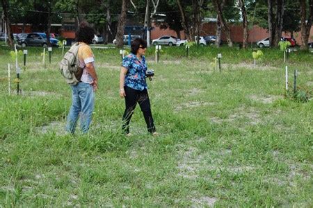 Bosque Em Defesa Da Vida Refer Ncia Para Familiares De V Timas