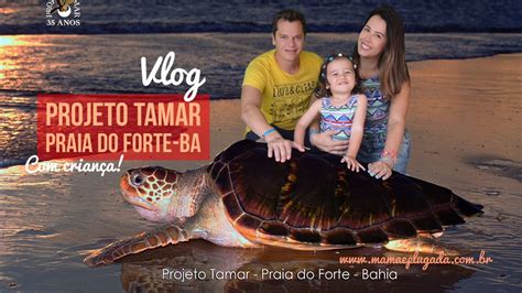 Vlog Projeto Tamar Praia do Forte BA Viajando criança Full HD