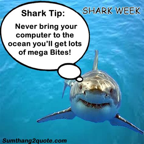 Funny Shark Week Quotes - ShortQuotes.cc