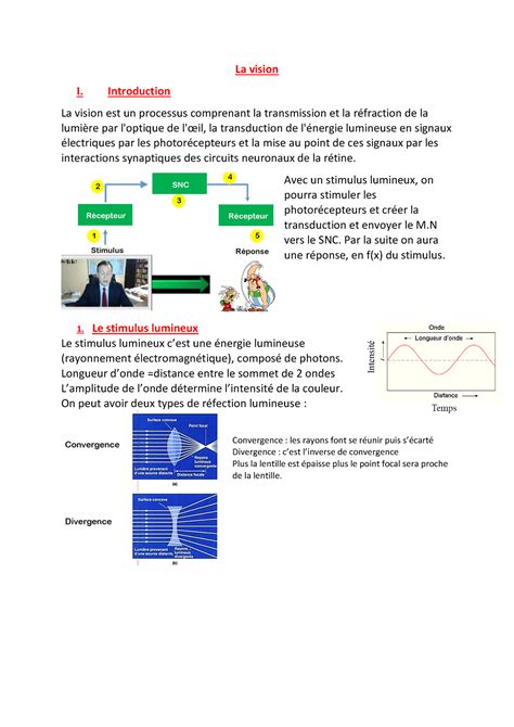 Copie De Eme Cours La Vision La Vision I Introduction La Vision Est