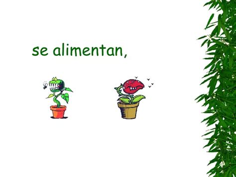 partes de una planta | profe.social 