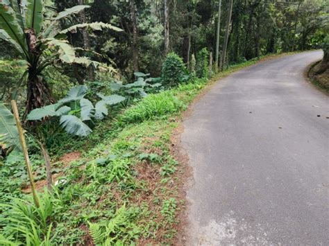 Terreno En Venta Km 12 5 Santa Rosalía Carretera A El Salvador